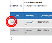 Expense Report Template in Detail Expense Report Template in Detail