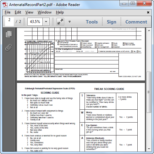 Original PDF opened in Acrobat Reader Original PDF opened in Acrobat Reader