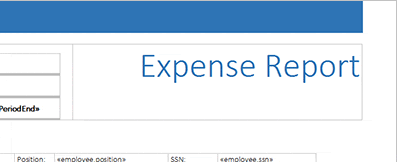 Expense Report Template in Detail Expense Report Template in Detail
