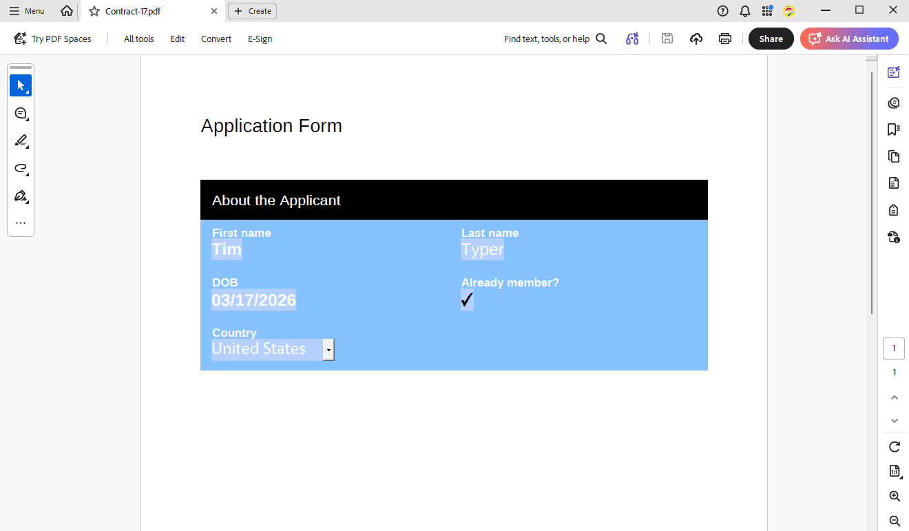 PDF Example