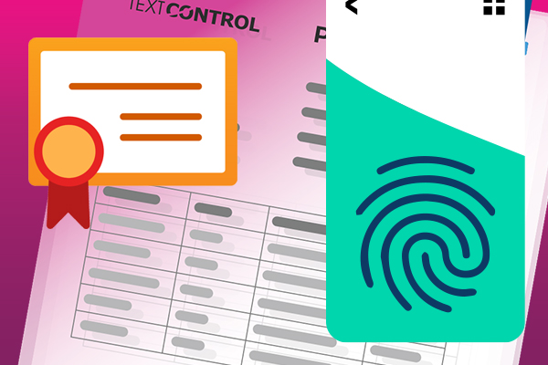 The State of Electronic and Digital Signatures (E-Signatures) in Business Applications (2025)