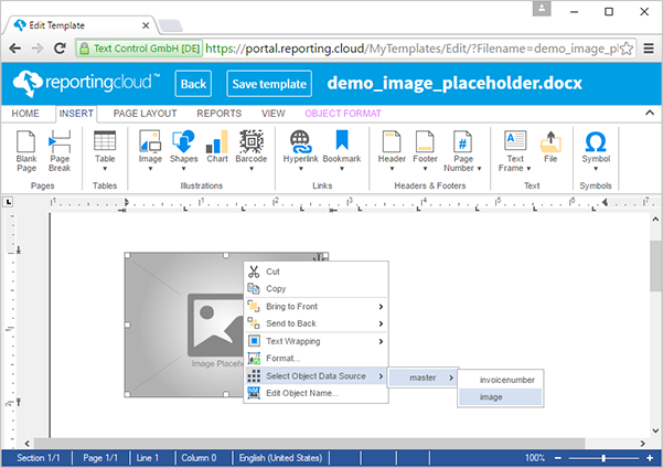 ReportingCloud: Merging images into image placeholders