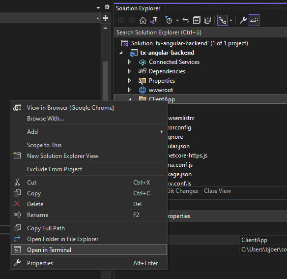 ASP.NET Core Web Application