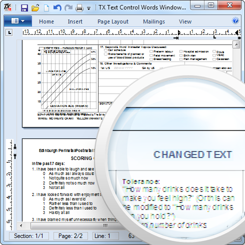 PDF opened in TX Text Control 18.0 (Beta)