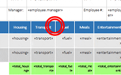 Expense Report Template in Detail
