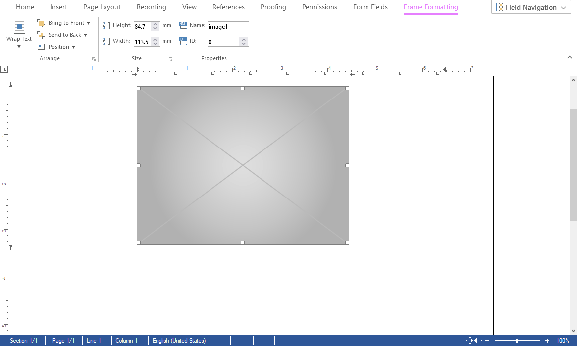 Creating placeholders with TX Text Control
