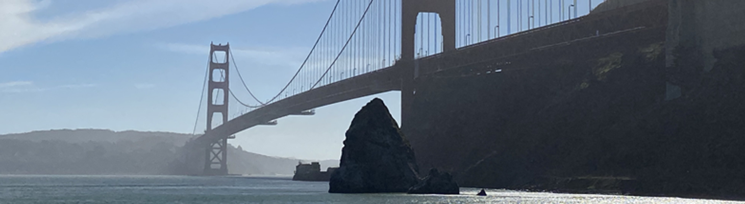 Silicon Valley, Here We Come! Silicon Valley, Here We Come!