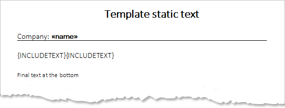 Conditional INCLUDETEXT fields, the template Conditional INCLUDETEXT fields, the template