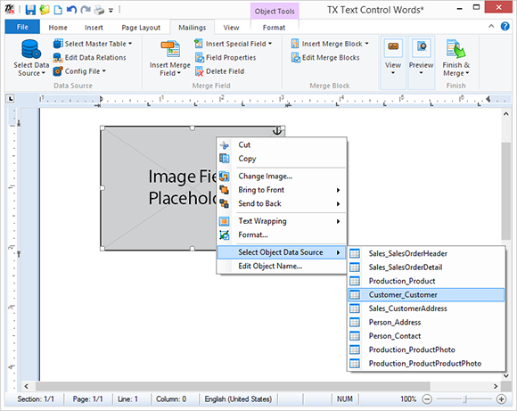 Image merging in Text Control reports Image merging in Text Control reports