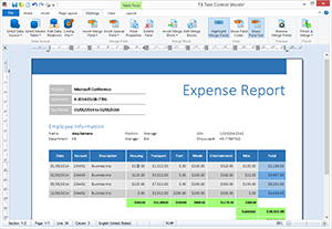 Q&A: MS Word compatible reporting for the .NET Framework Q&A: MS Word compatible reporting for the .NET Framework