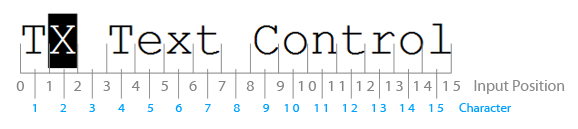 TX Text Control input positions