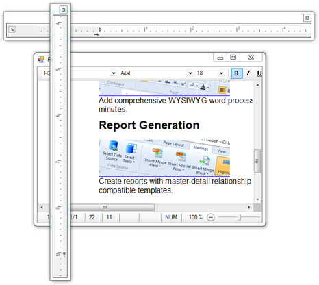 TX Text Control with external ruler bars