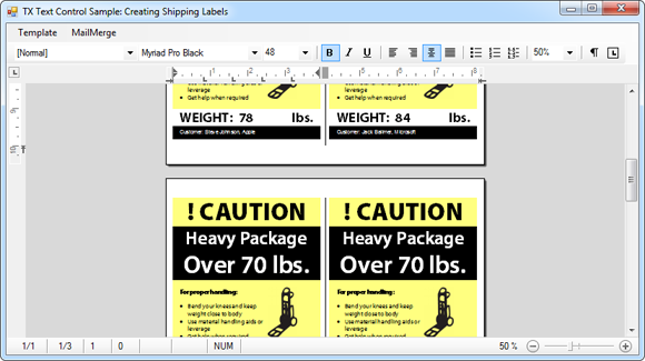 TX Text Control shipping labels