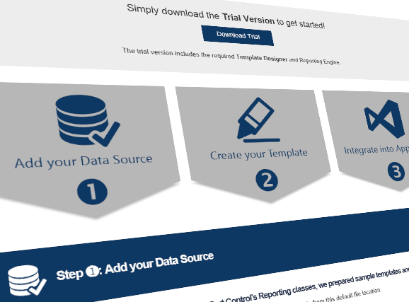 Text Control Reporting: Getting-Started and Basic Concepts