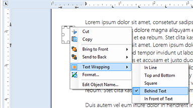Inserting and printing folding marks using TX Text Control