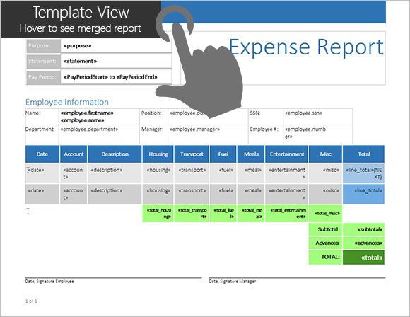 Expense Report Template in Detail