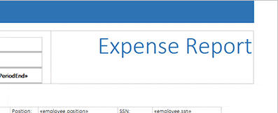 Expense Report Template in Detail