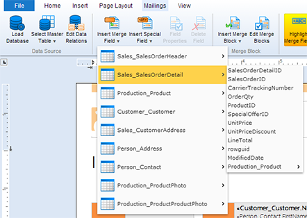 Text Control Web - Fundamental Concepts: The Data Source