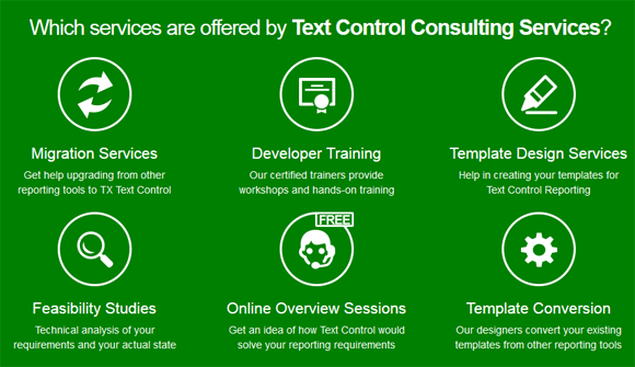 Text Control Consulting Services