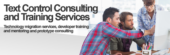 Text Control Consulting Services