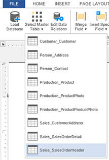 Web.TextControl X13: Improved merge field insertion