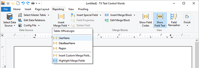 Build your own template designer with the new DataSourceManager class