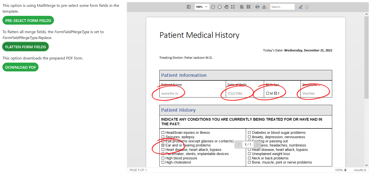 TX Text Control form