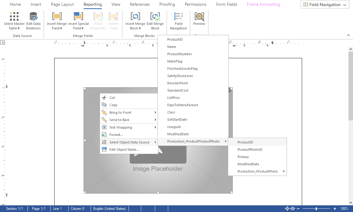 Creating placeholders with TX Text Control