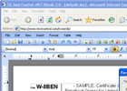 True Browser-based Rich Text Editing