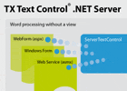Server word processing: Choosing the right class