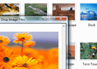 Drag and Drop images into TX Text Control .NET for Windows Forms