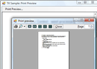 Printing into a PrintPreview control
