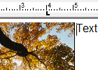 Matching the image size with a text frame size