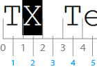 Setting the input position in TX Text Control
