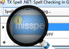 From our labs: New spell checking concepts for DataGridViews