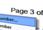 Inserting MS Word compatible page number fields