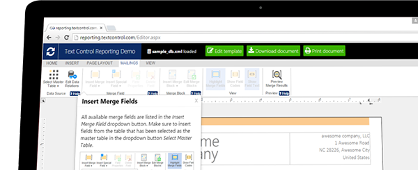 What is Text Control Reporting?