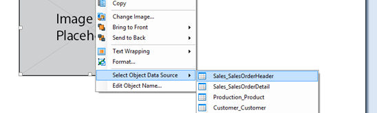 Template Designer in X10 Template Designer in X10